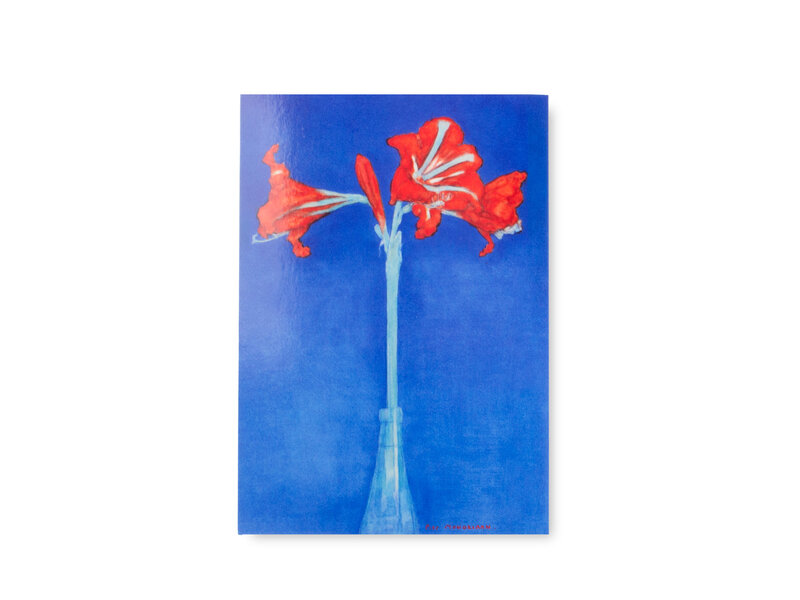 Ansichtkaart, Piet Mondriaan, Amaryllis