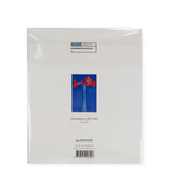 Lens cloth, 15x18 cm, Piet Mondriaan, Amaryllis