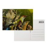 Postcard, 10x15 cm,  Jheronimus Bosch, Garden of Earthly Delights 8