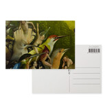 Postkarte, 10x15 cm,  Jheronimus Bosch, Garten der irdischen Freuden 8