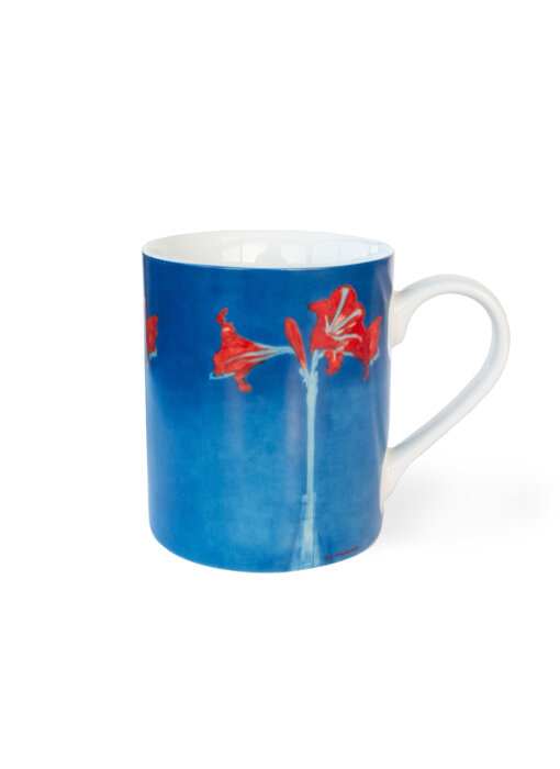 Tasse, Piet Mondriaan, Amaryllis