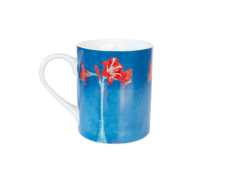 Tasse, Piet Mondriaan, Amaryllis