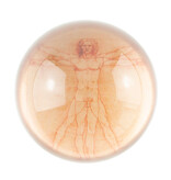 Glass Dome,    Da Vinci, Vitruvian Man