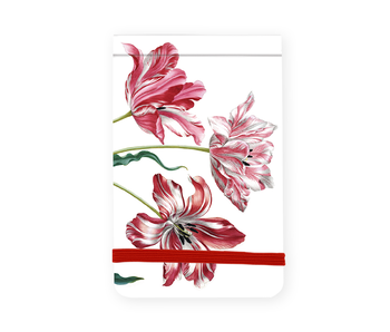 Pocket Note A7, Tres tulipanes, Merian