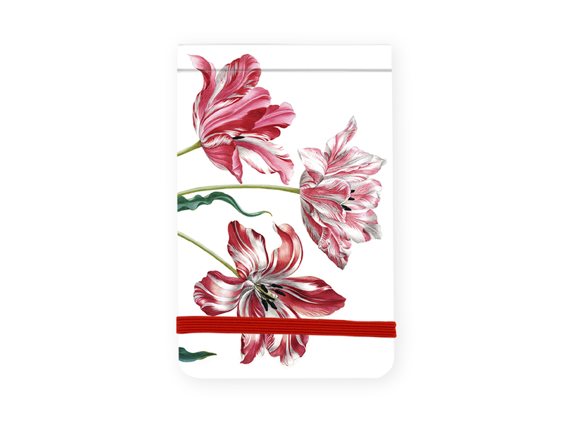 Pocket Note A7, Tres tulipanes, Merian