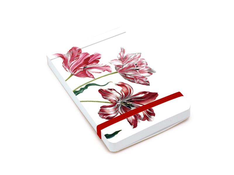 Pocket Note A7, Tres tulipanes, Merian