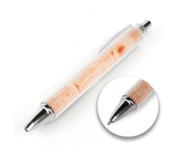 Photo Pen, Vitruvian man, Da Vinci