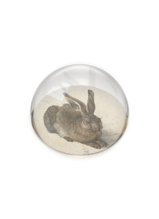 Pisapapeles de vidrio, Dürer, Liebre