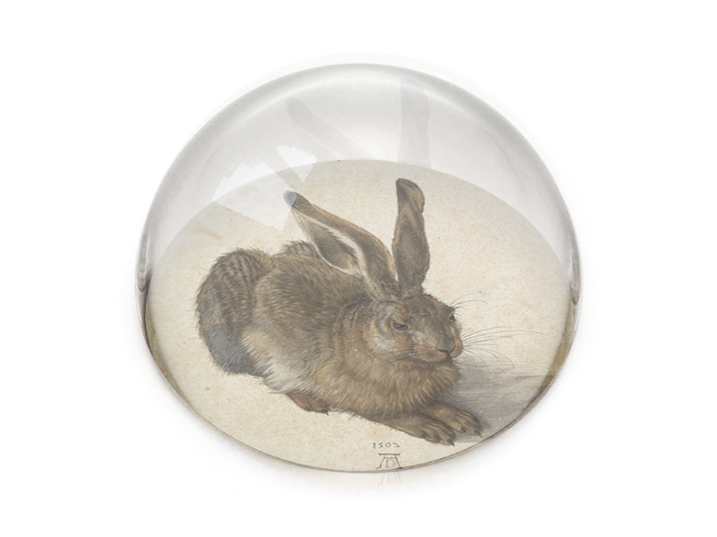 Pisapapeles de vidrio, Dürer, Liebre
