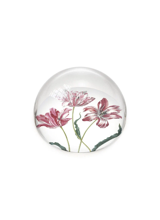 Glass Dome,  Tulips, Merian