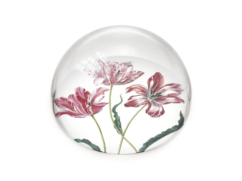 Glazen bolle  presse papier,  Tulpen, Merian
