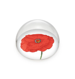 Glaskuppeln/Briefbeschwerer, Mohn, Hortus Botanicus
