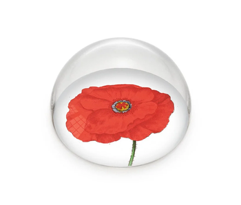 Glaskuppeln/Briefbeschwerer, Mohn, Hortus Botanicus