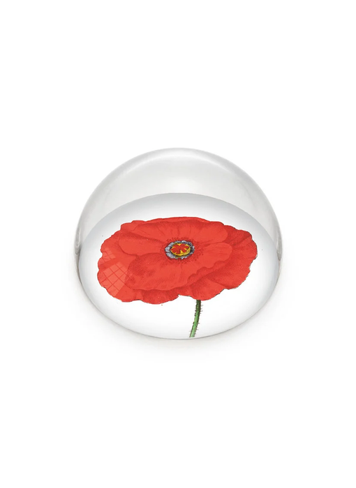 Glaskuppeln/Briefbeschwerer, Mohn, Hortus Botanicus