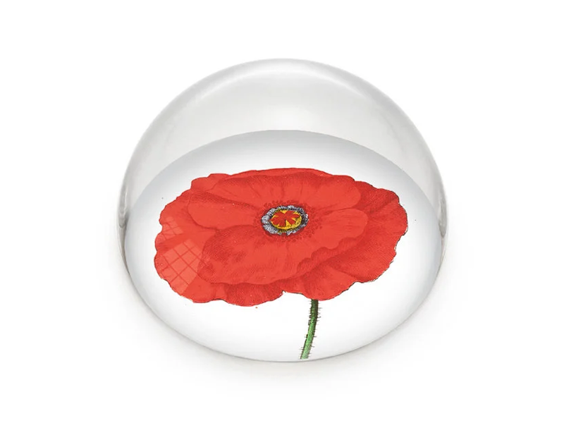 Glaskuppeln/Briefbeschwerer, Mohn, Hortus Botanicus