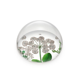 Briefbeschwerer, Holunder, Hortus Botanicus