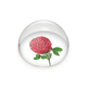 Glass Dome, Red clover flower,  Hortus Botanicus