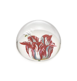 Glass paper weight, Tulip Marrel RIJKSMUSEUM