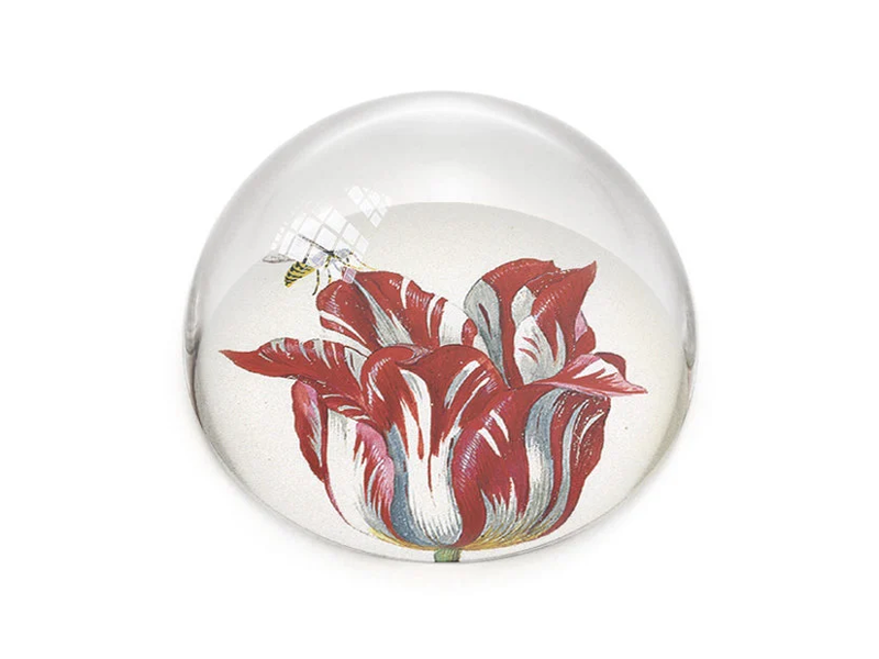 Glass paper weight, Tulip Marrel RIJKSMUSEUM