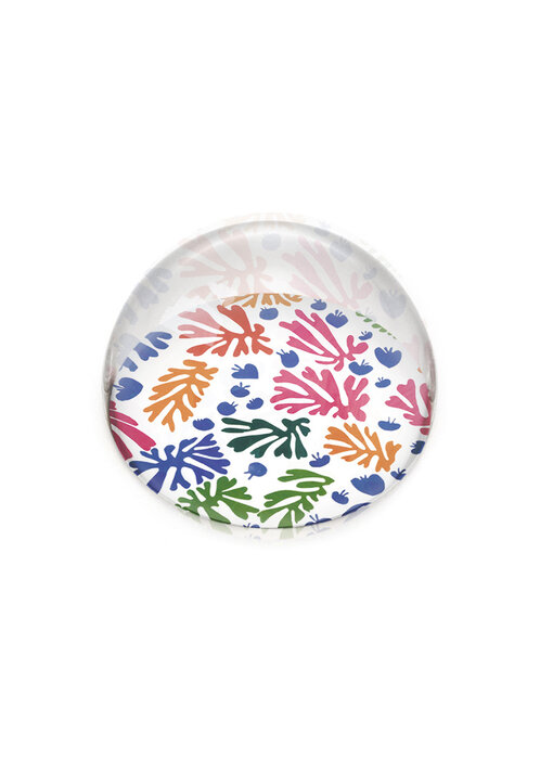 Glass Dome, Henri Matisse, The parrot and the mermaid