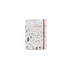Softcover Book A5 , James Ensor, The Baths at Ostend