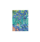 Diario del artista, Iris, Vincent van Gogh