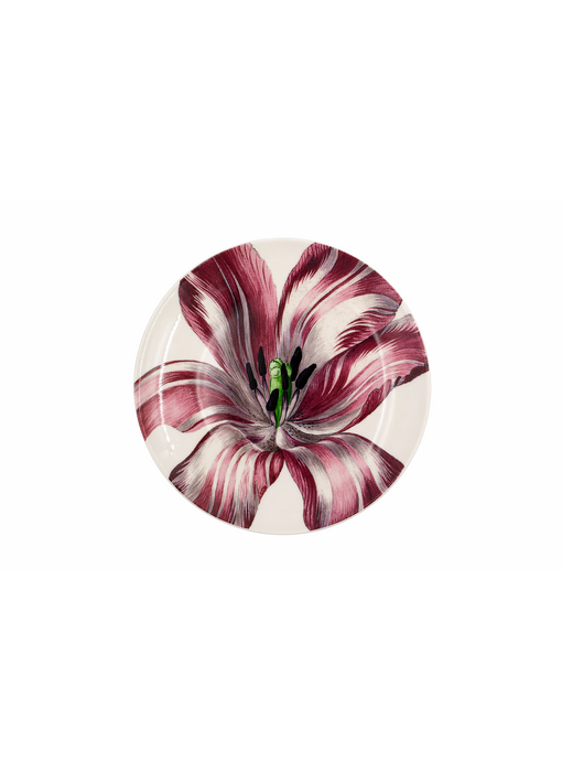 Porseleinen bord, Ø 20 cm, Tulp, Merian