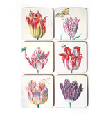 Dessous de verre, tulipes, Jacob Marrel