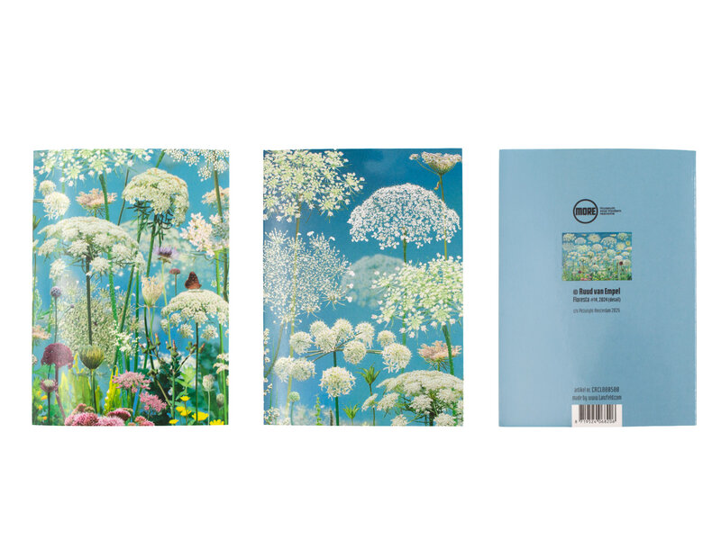 Kartenmappe, Ruud van Empel