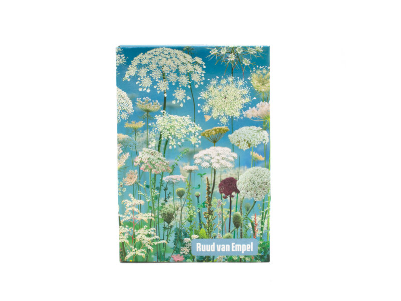 Kaartenmapje ,Ruud van Empel