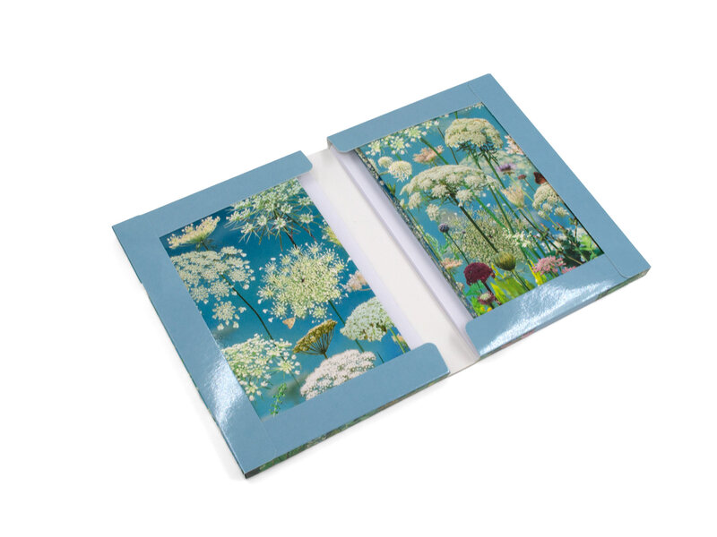 Porte-cartes, Ruud van Empel