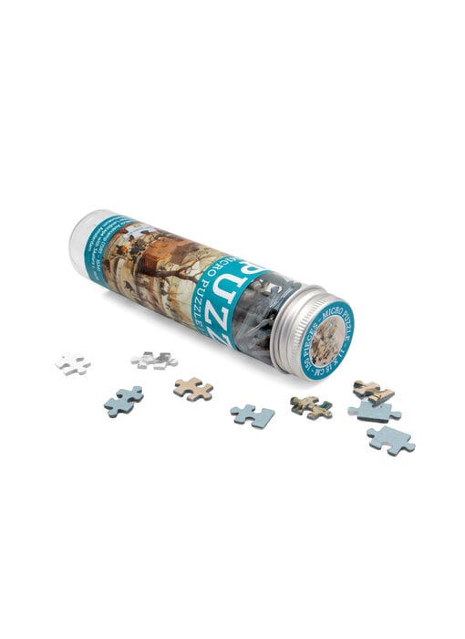 Micro puzzel, 150 stukjes,  Avercamp, Winterlandscape