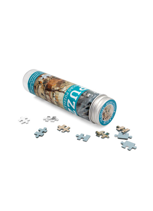 Micro puzzle, 150 pièces,   Avercamp, Winterlandscape