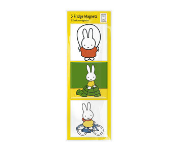 Fridge magnets, Set of 3, Miffy plays