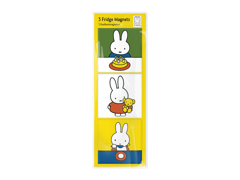 Magneten, Set van 3 , Nijntje thuis