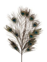 J-Line PEACOCK FEATHERS BRANCH 14FEATHERS COLOUR MIX