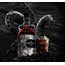 The Kraken Spiced Black Rum 1L