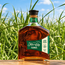 Flor de Cana 15 Years Terra + GB 70cl