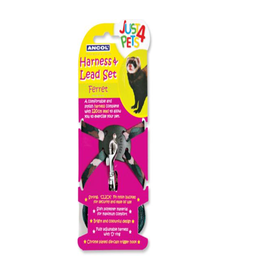 Ancol Ancol Ferret Harness & Lead Set