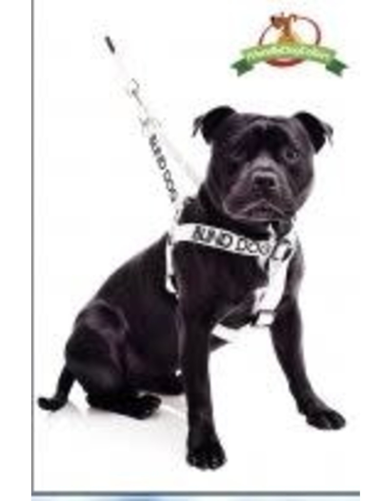 friendly dog harness