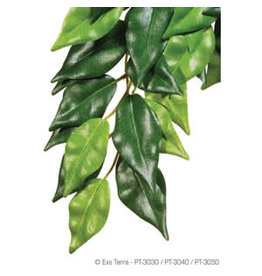 Exo Terra ET Hanging Plant Ficus