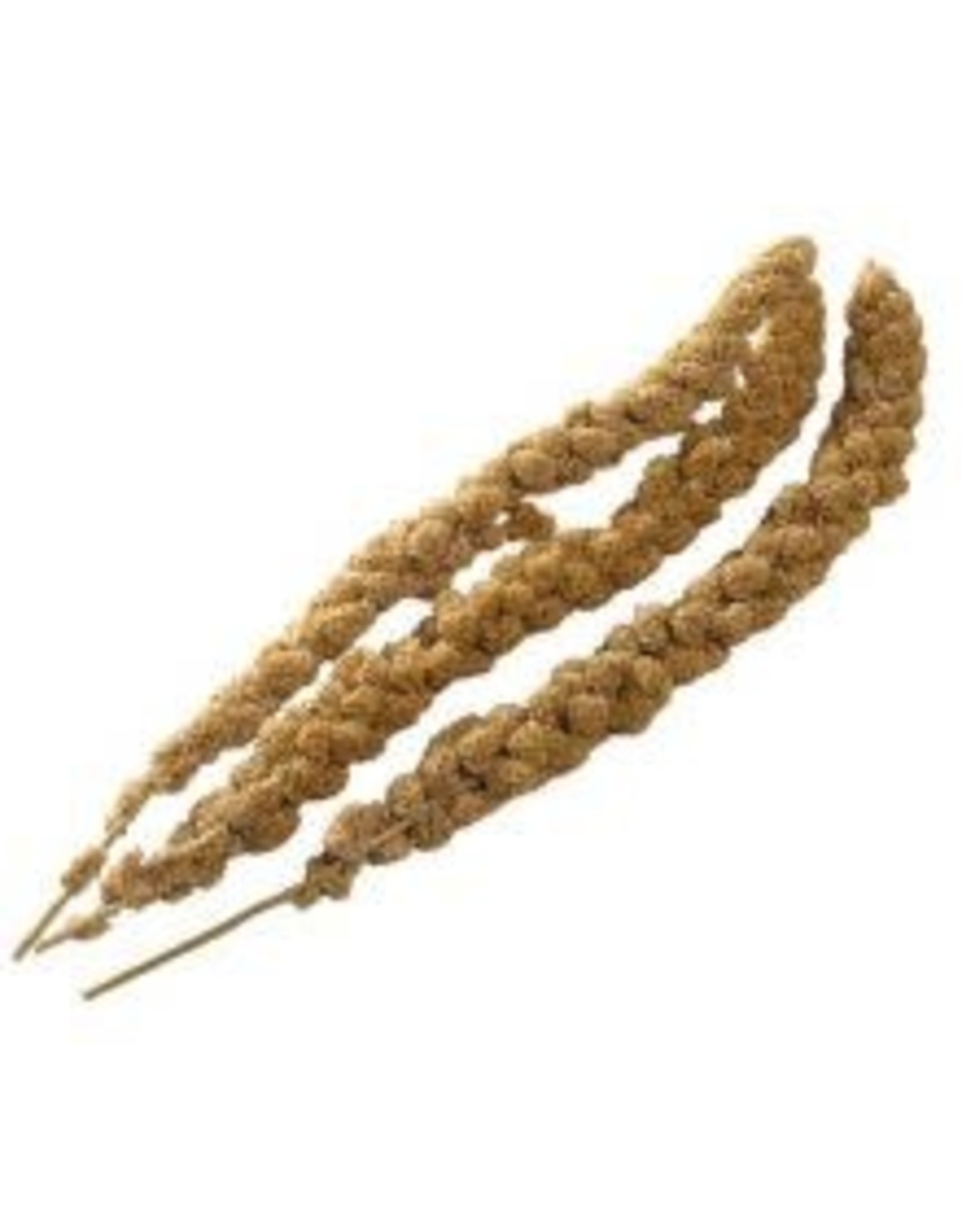 Angell Pets Millet 300g