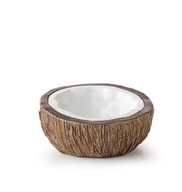 Exo Terra ET Tiki Coconut Water Bowl