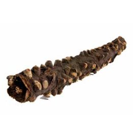 J&K Aquatics Climbing Wood Medium 40 - 50cm