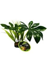 Jungle Canopy 42cm