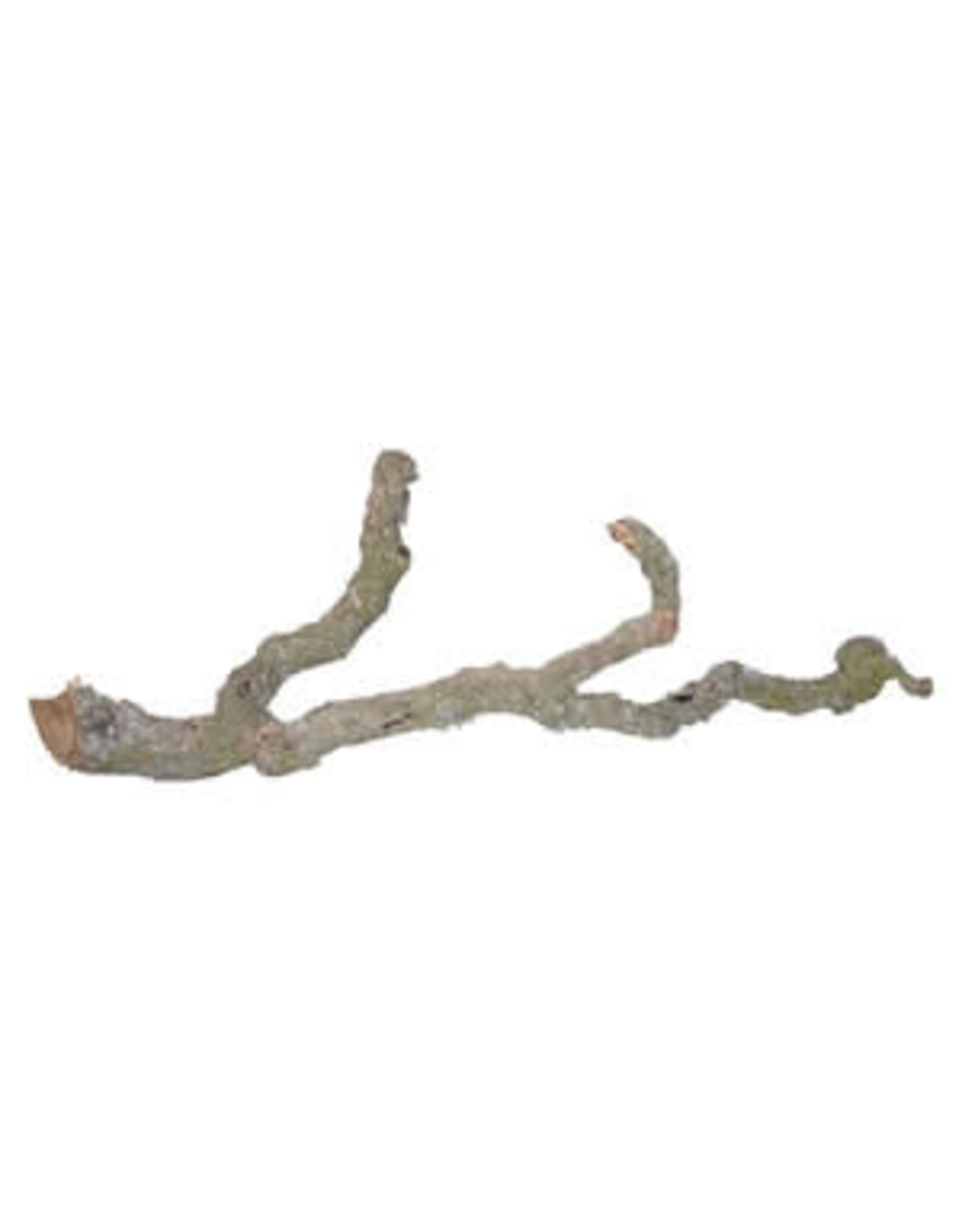 Lucky Reptile LR Tronchos Branches 60-90cm