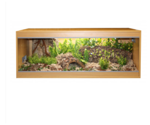 Komodo top wooden vivarium