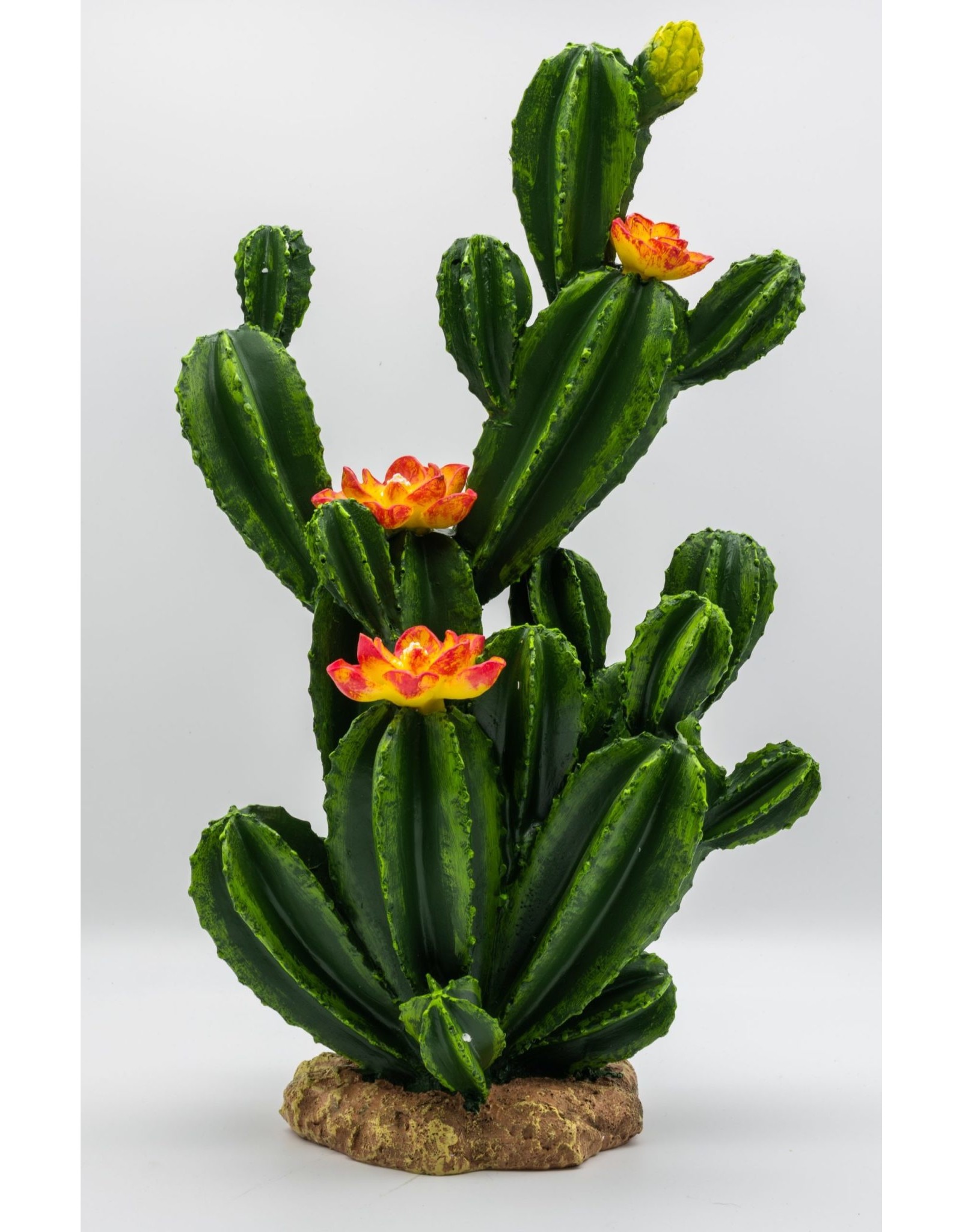 Pro Rep PR Flowering Cactus
