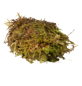 Habistat Habistat Sphagnum Moss 1kg