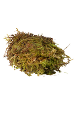 Habistat Habistat Sphagnum Moss 250g